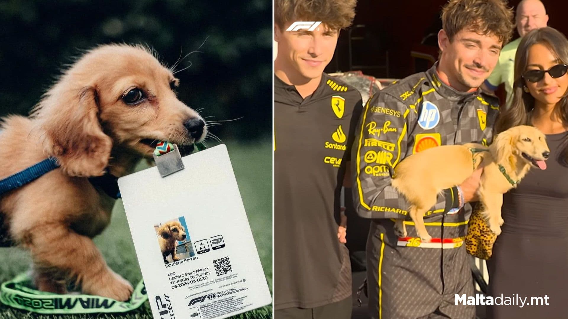 Leclerc’s Dog Steals The Show In Adorable Reel