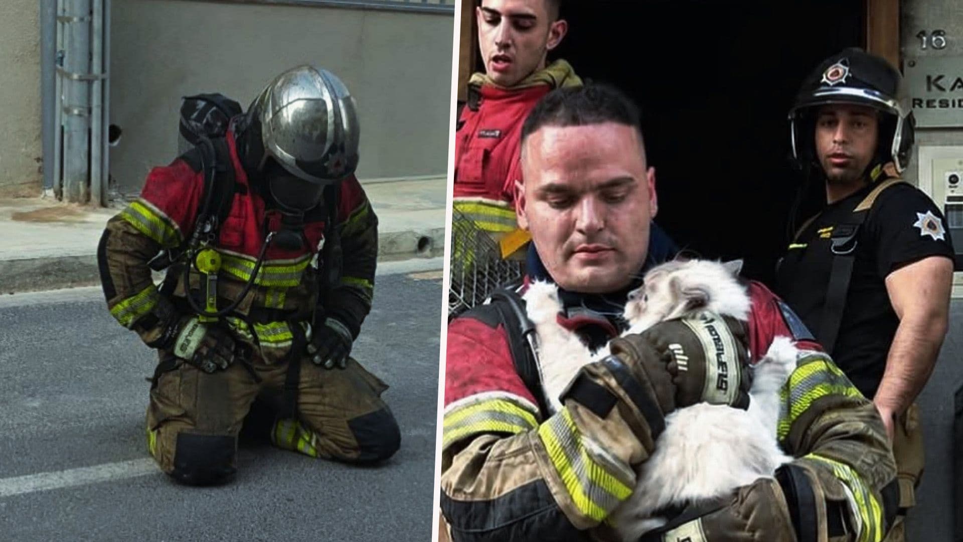 MasterChef Finalist Reflects On Demands Of Firefighter Work