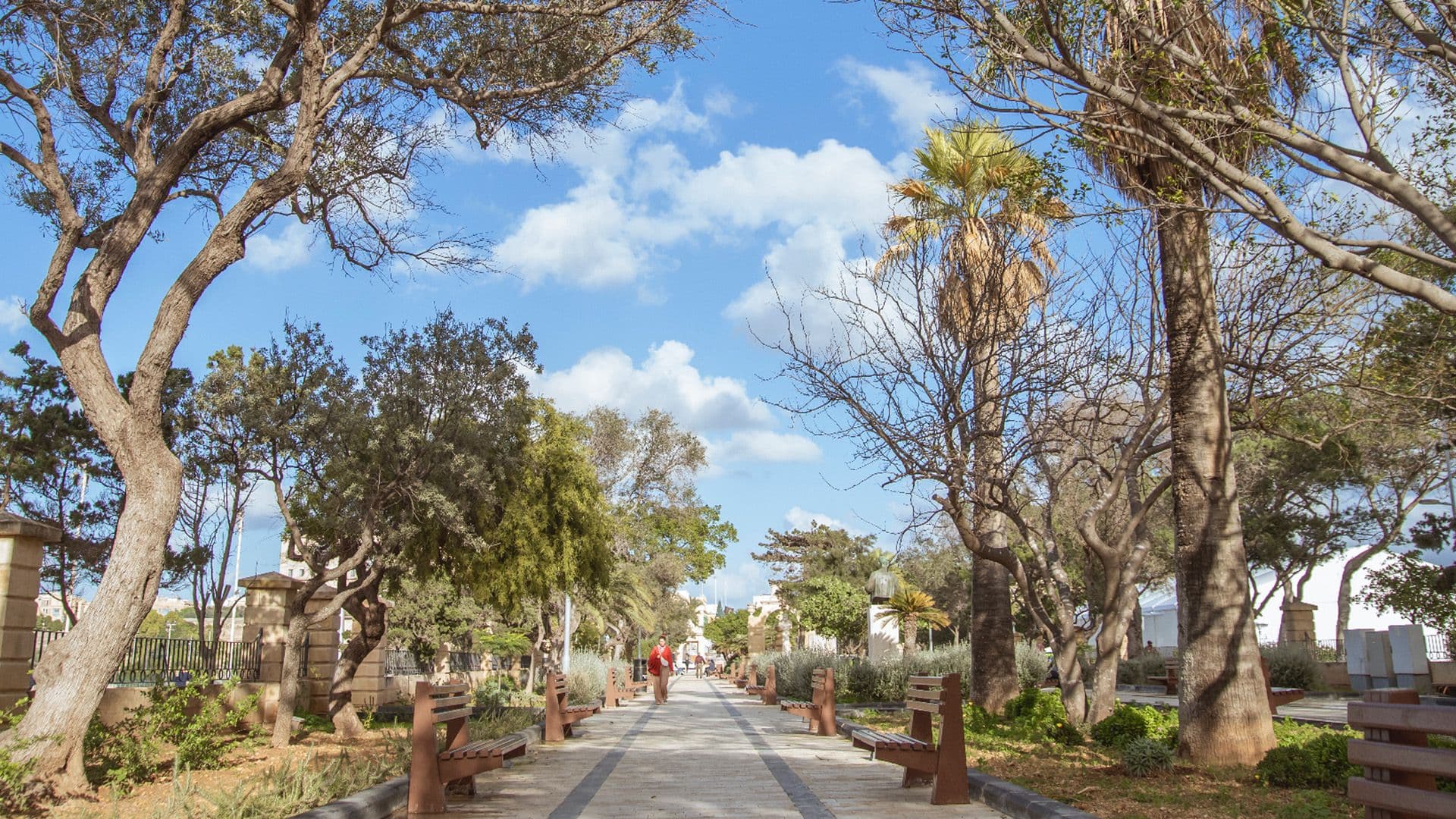 Local Parks Spotlight: Ġnien Il-Mall, Floriana