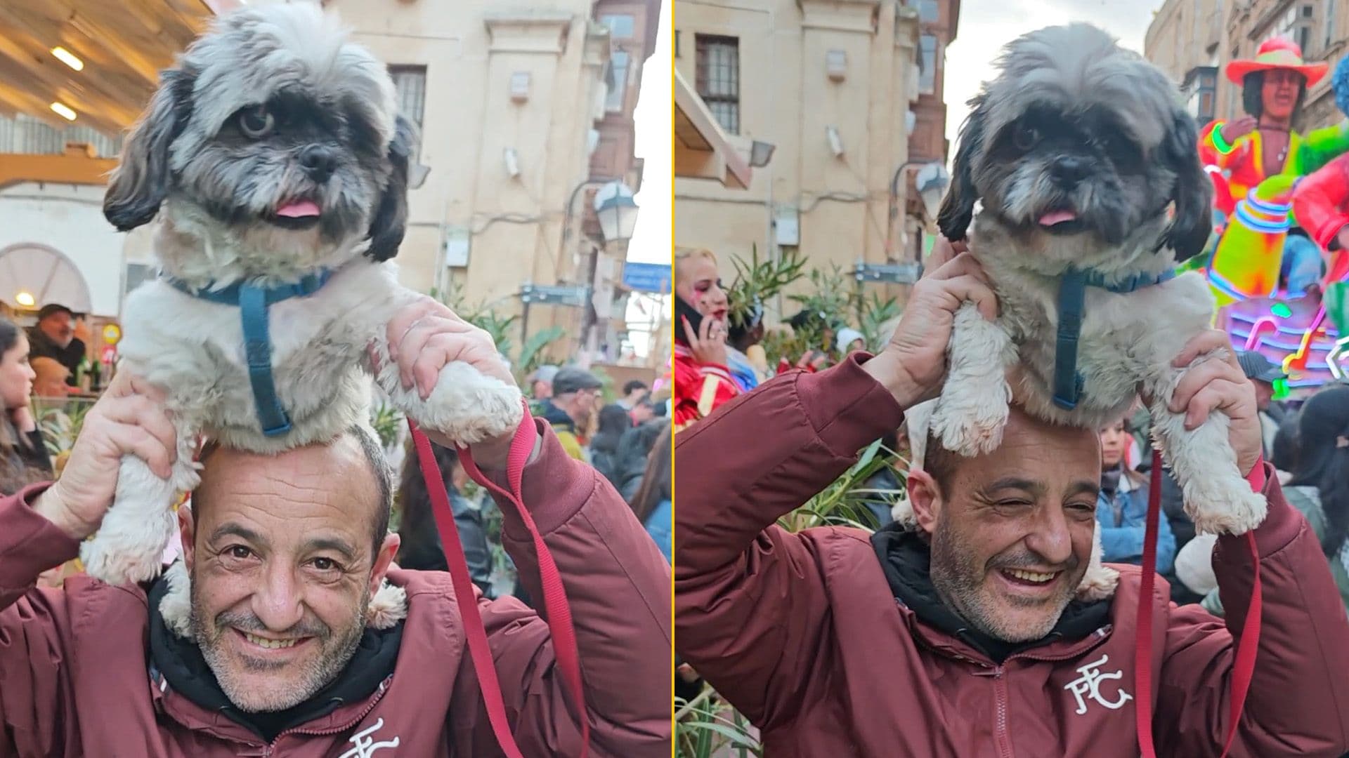 Dog & Owner Melt Hearts Celebrating Carnival In Valletta