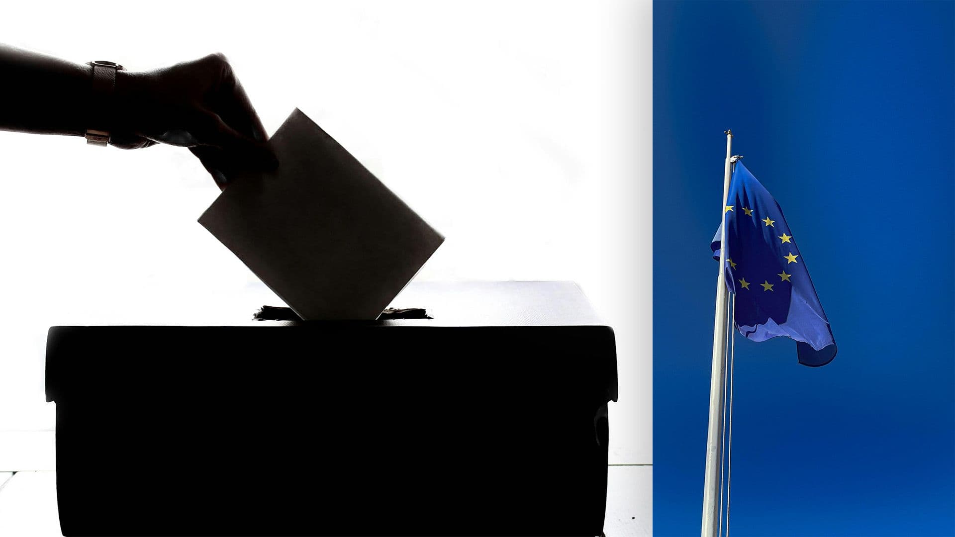 MEP & Local Council Elections Under Way