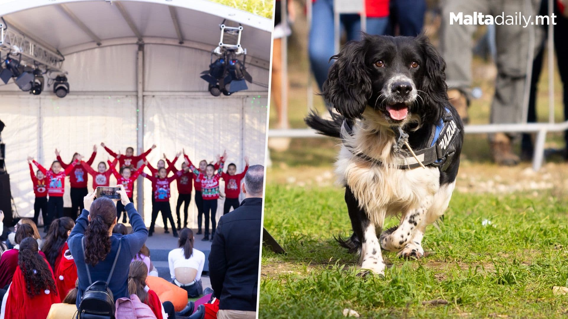 120,000 People Attend Christmas in the Park 2024 at Salini Park