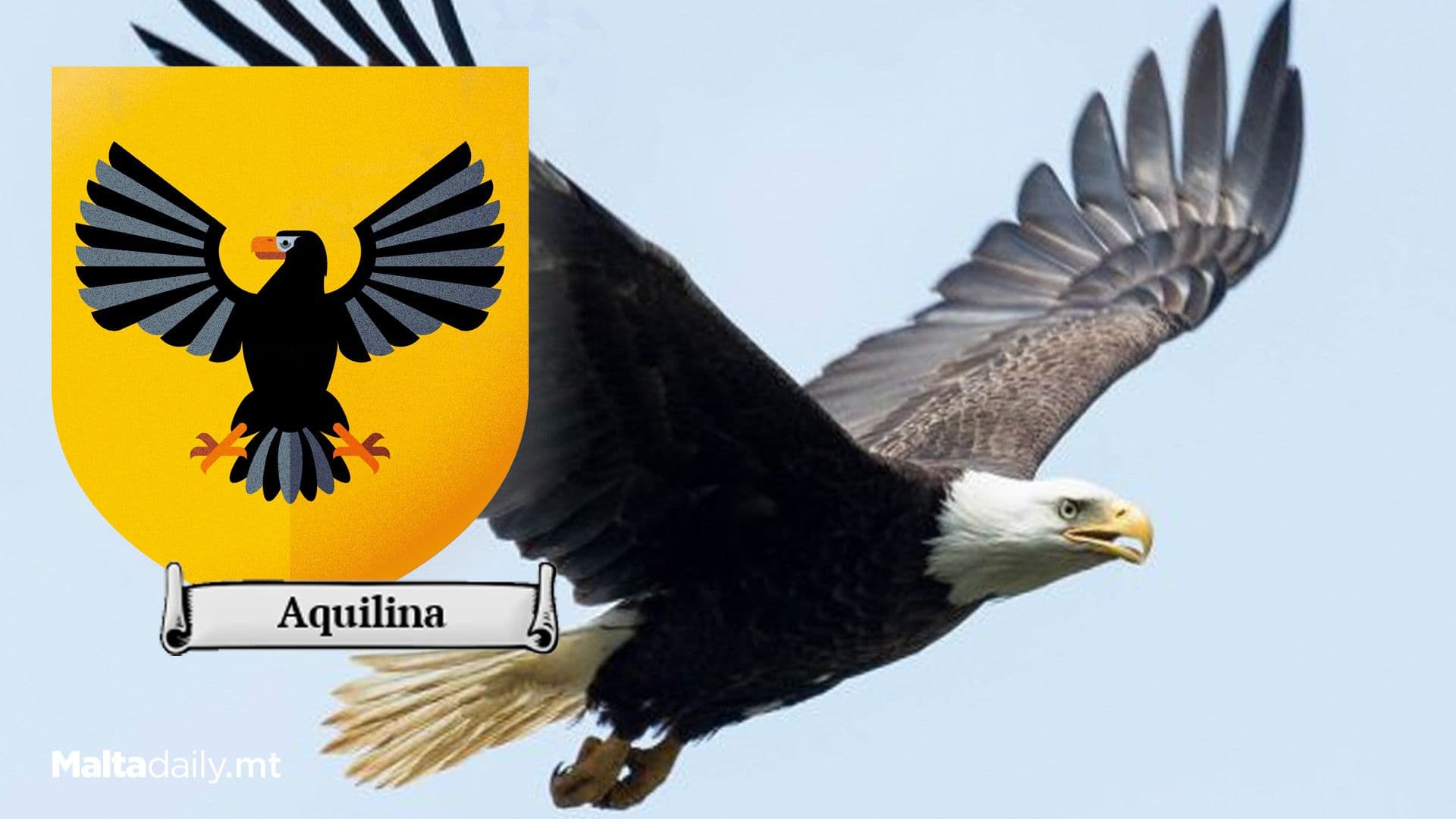 The Meaning and Origin of Aquilina