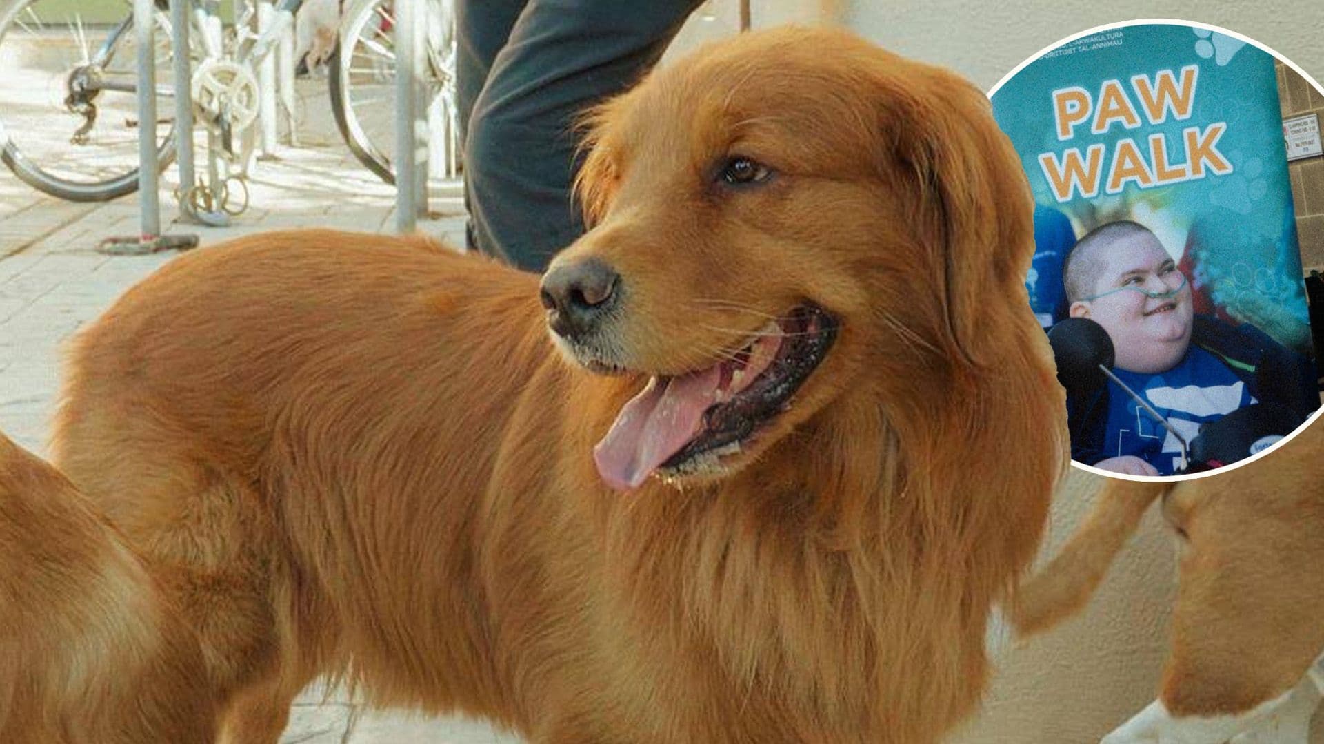 Paw Walk Held Outside Mater Dei In Honour of Jake Vella