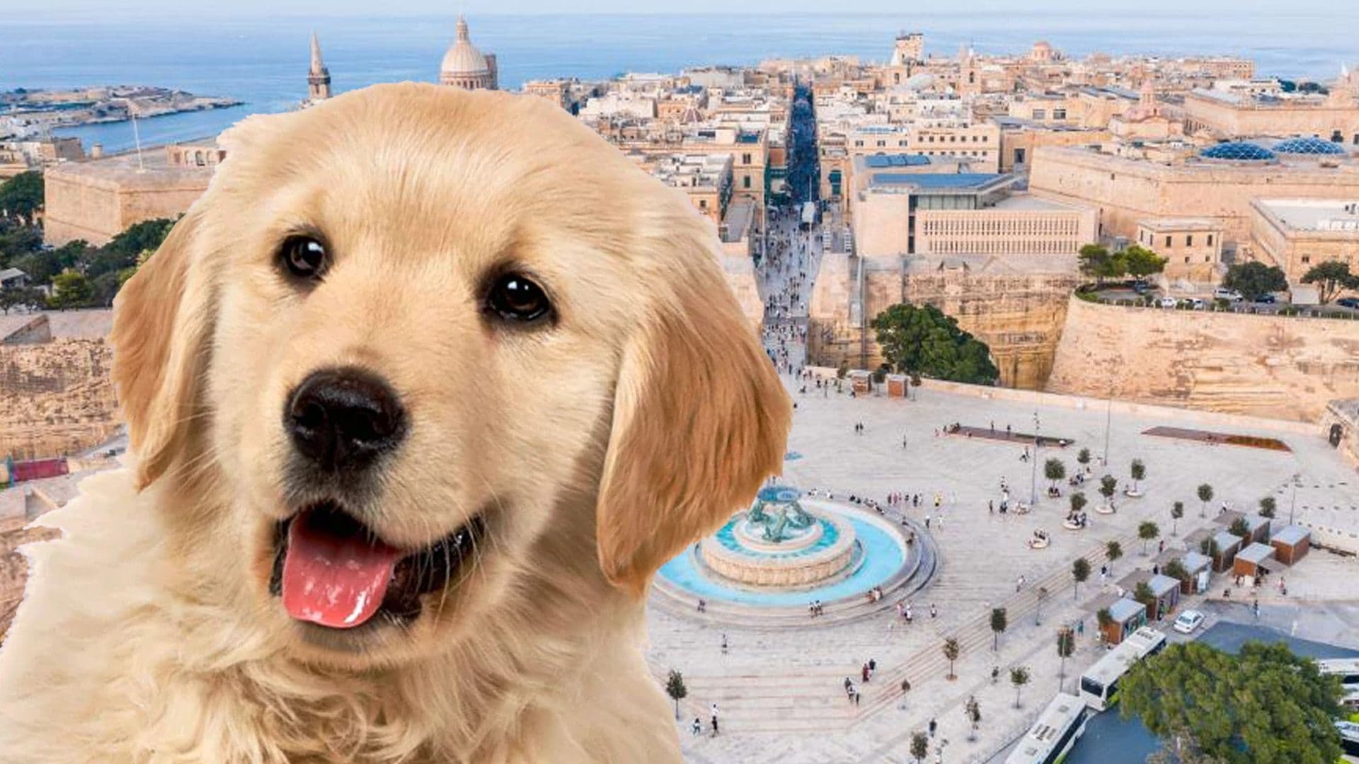 A Pet Day Is Coming To Malta’s Capital City This April!