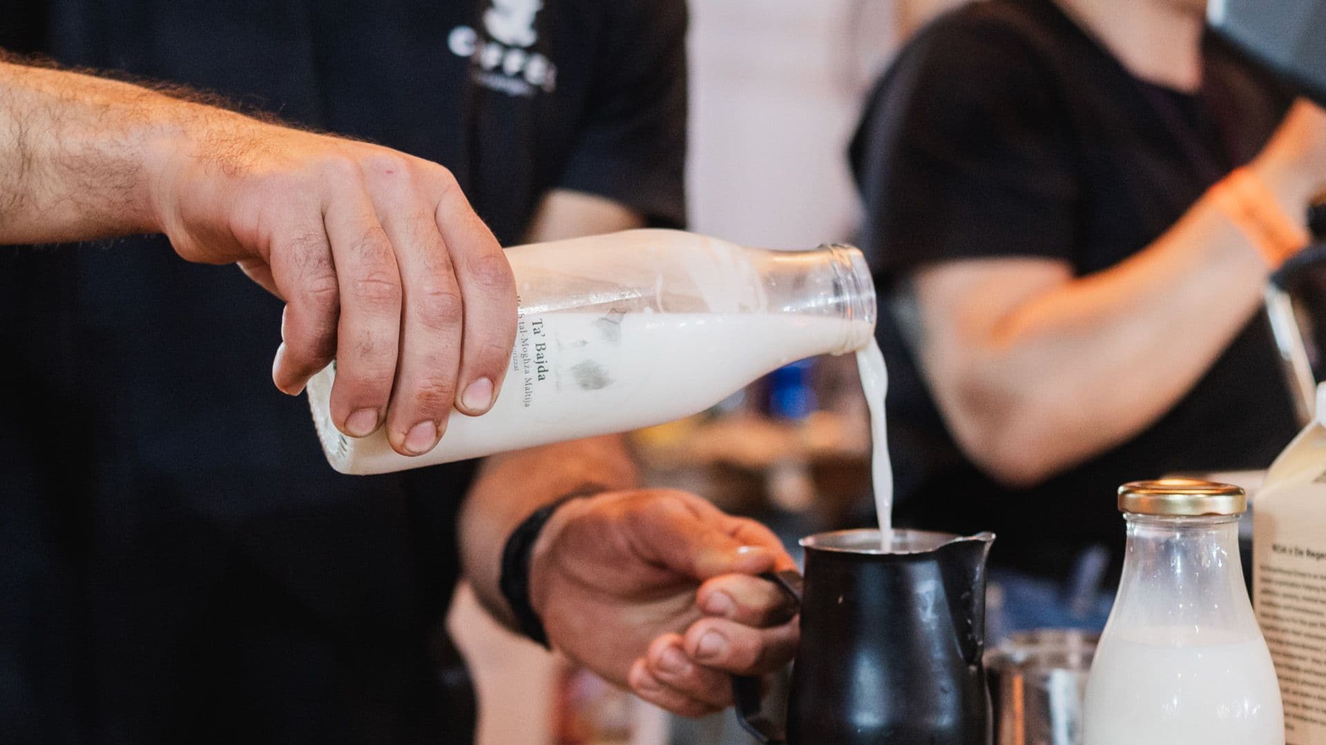 Stunning Paintings Raise Awareness On Disappearing Maltese Goat