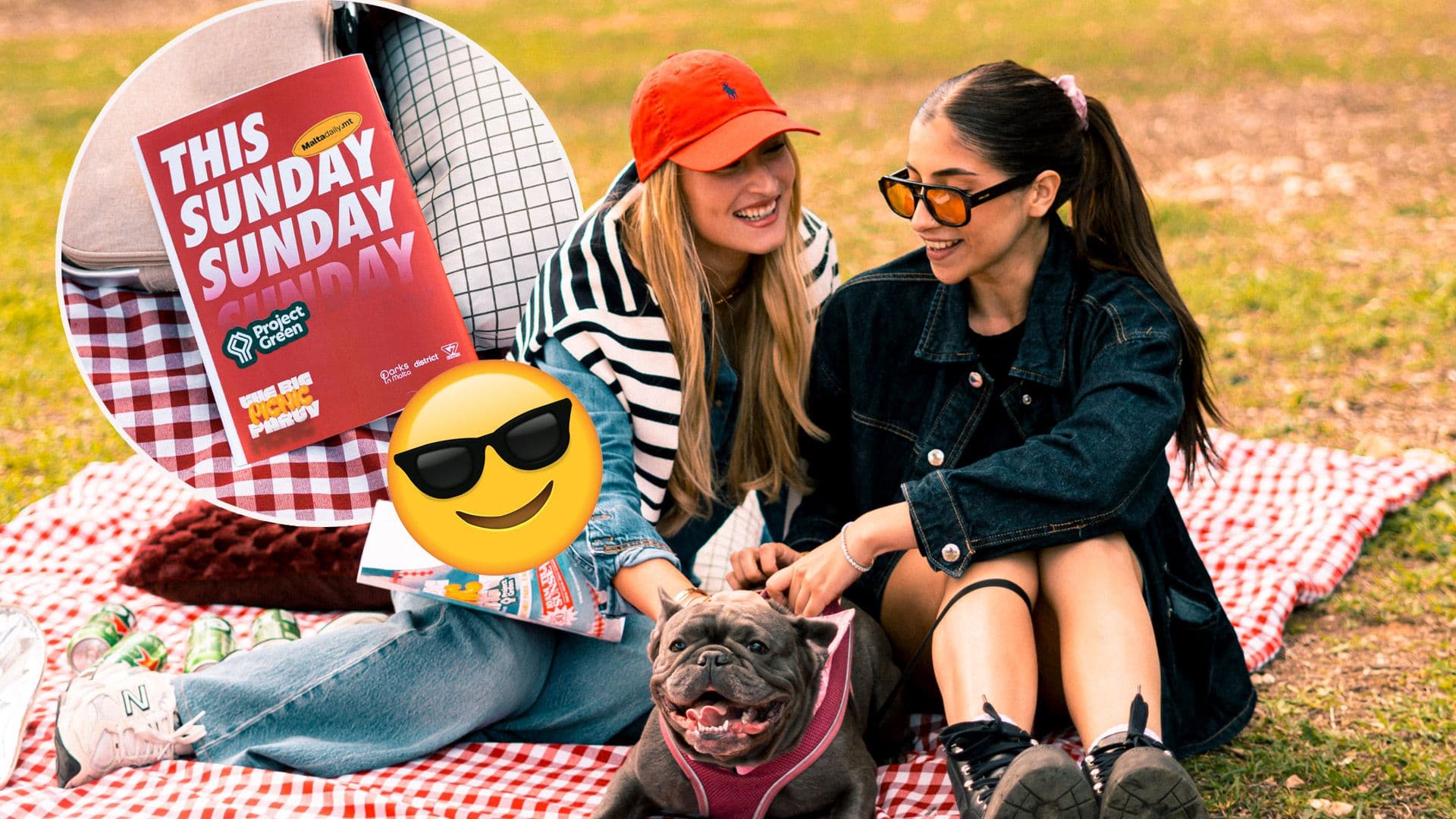 Big Picnic Party Happening Tomorrow At San Klement Family Park, Żabbar