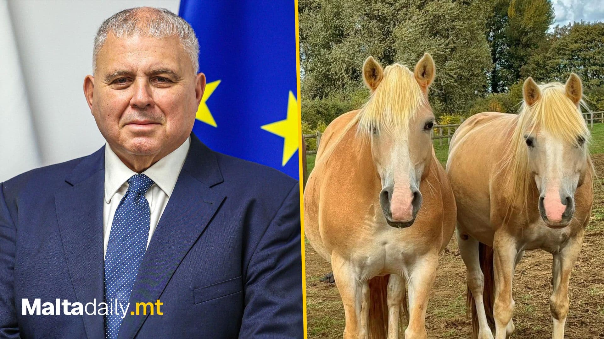 Anton Refalo Hails Animal Welfare And RMJ for Saving Caramel and Honey