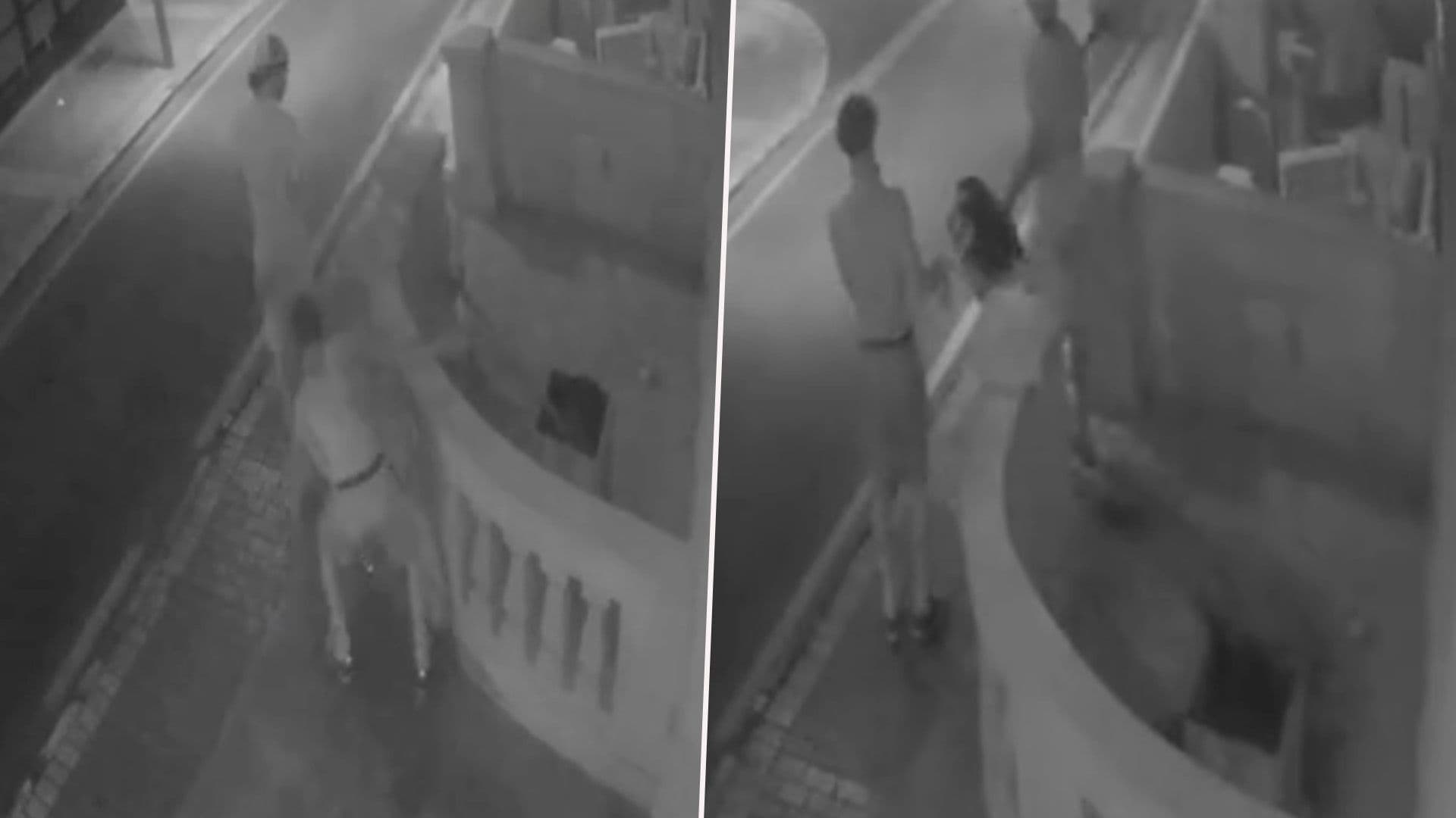 Two Men Filmed Uprooting & Stealing Tree From St Julian’s Porch