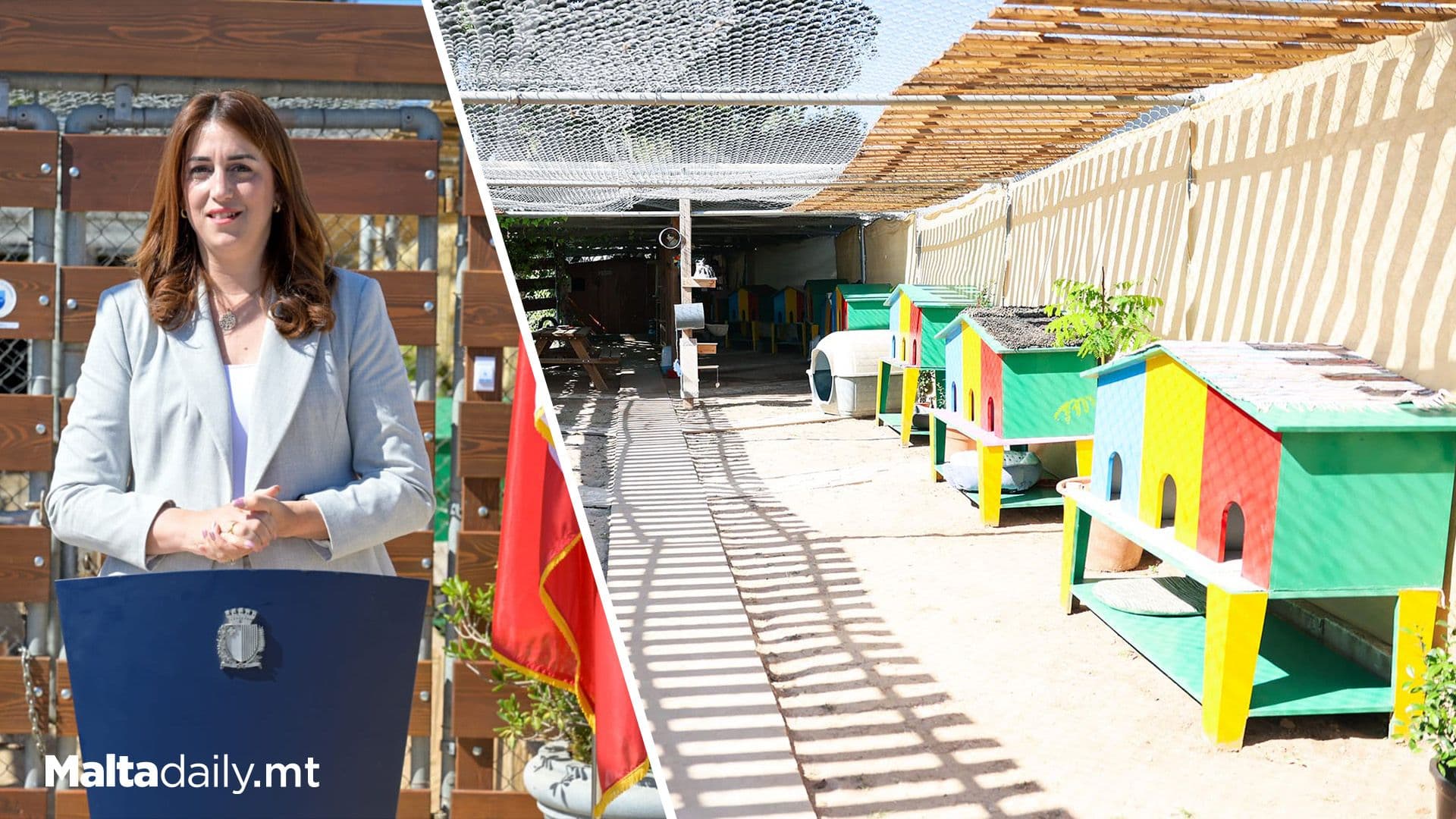 Malta’s First Cat Café Opens In Żurrieq