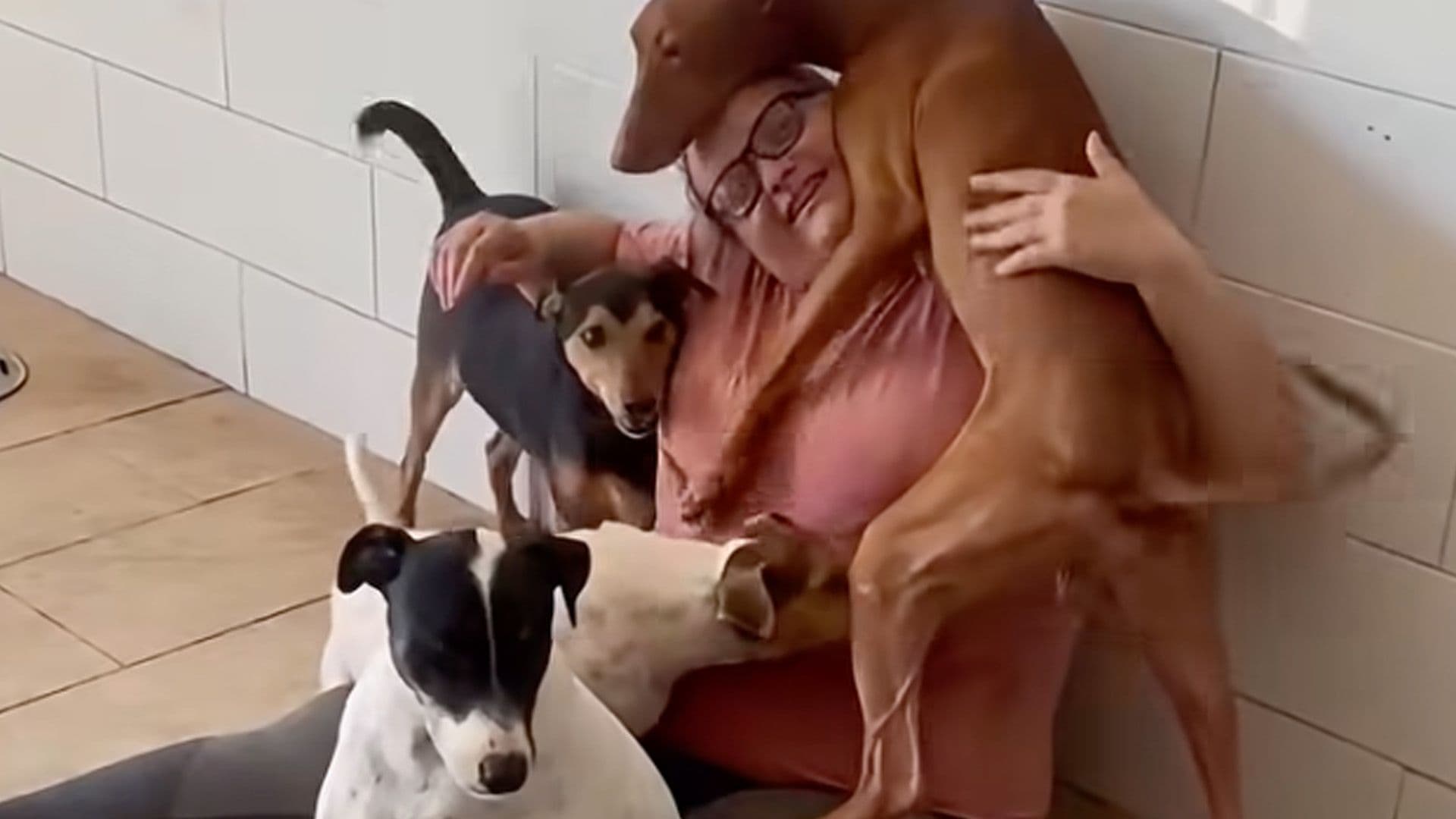 WATCH: Here's What It's Like To Work In A Dog Shelter