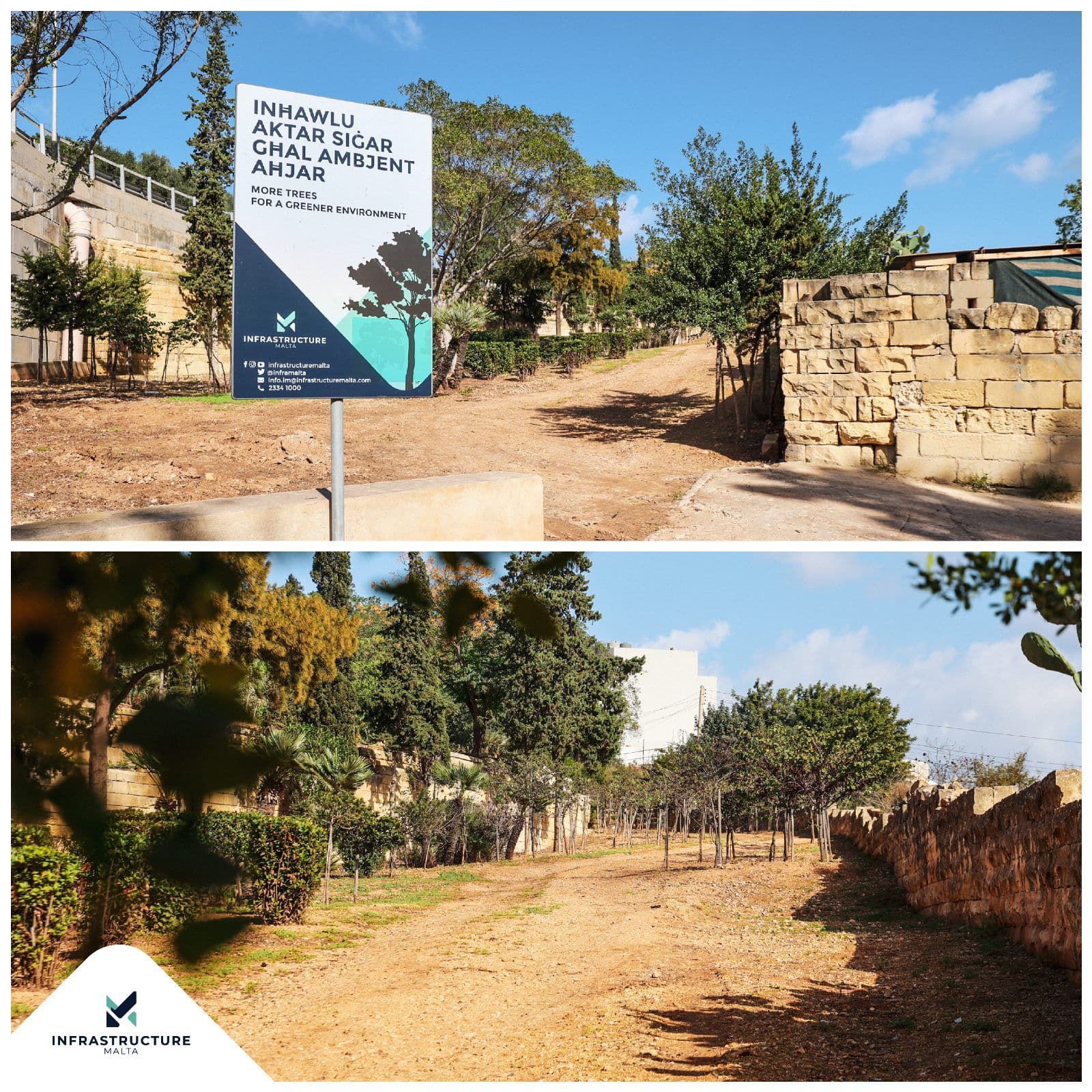 Over 214 Trees In Msida Public Garden As Part Of Creek Project
