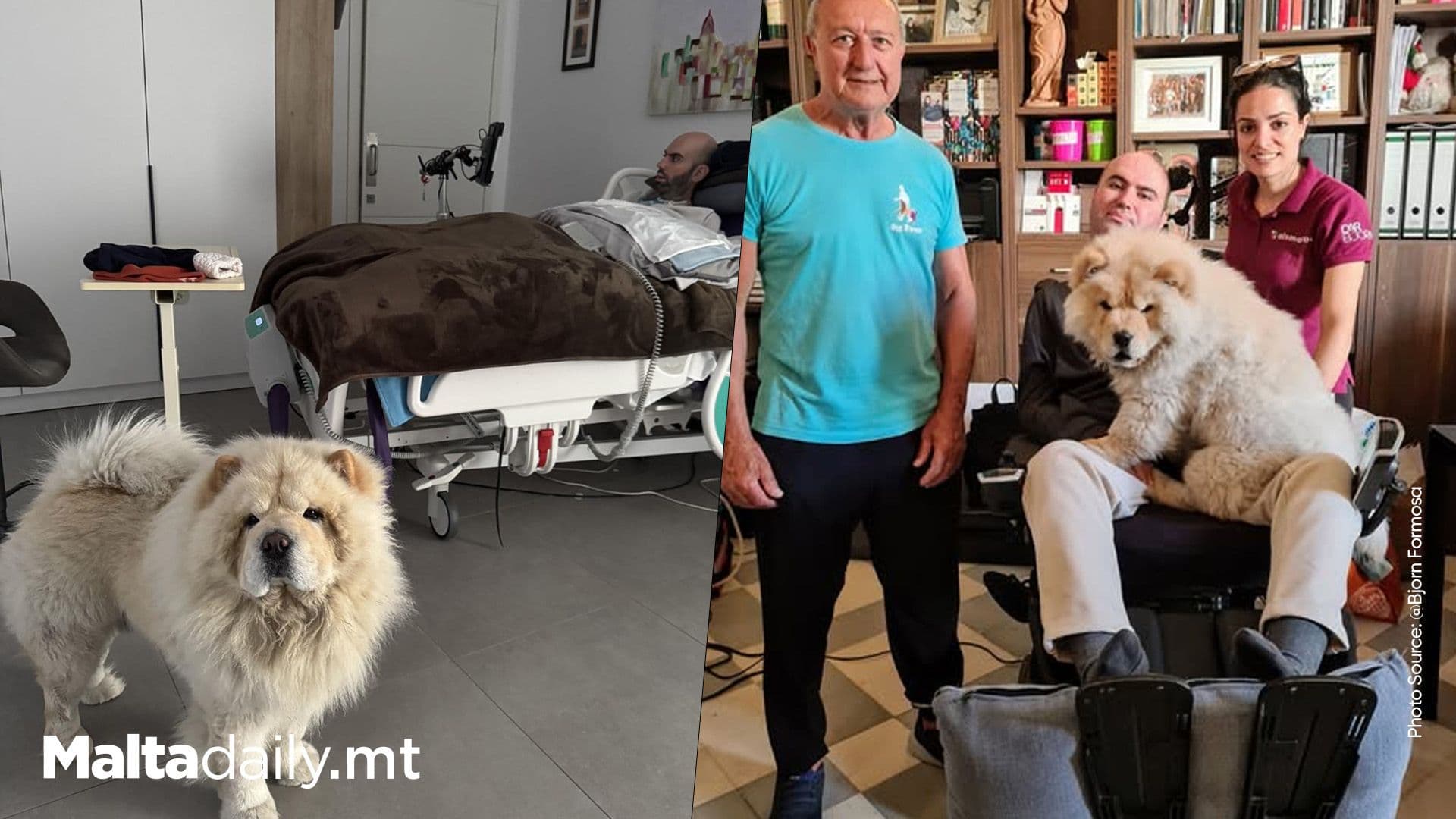 Bjorn Formosa Celebrates Dog Dar’s Third Birthday