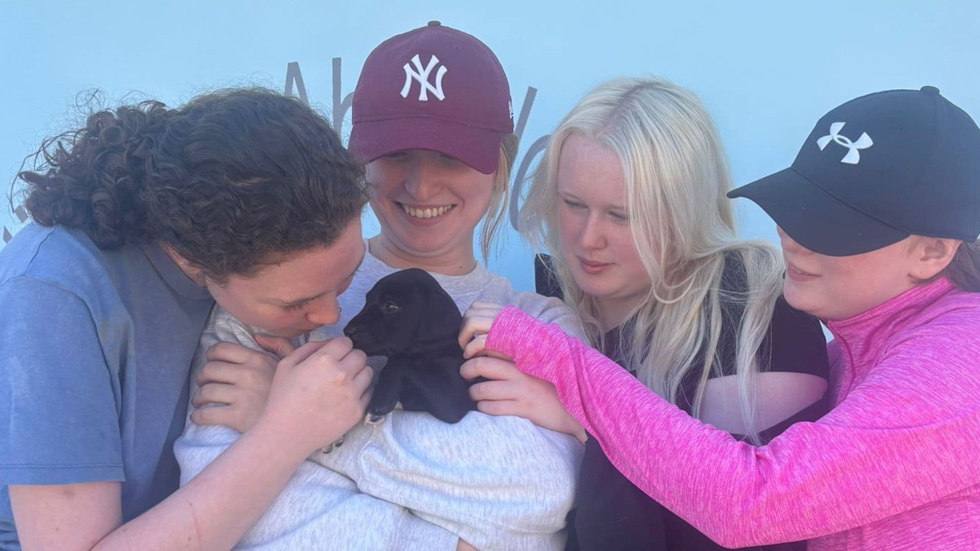 Tiny Puppy Found Alone In Field Set To Be Adopted Almost Immediately