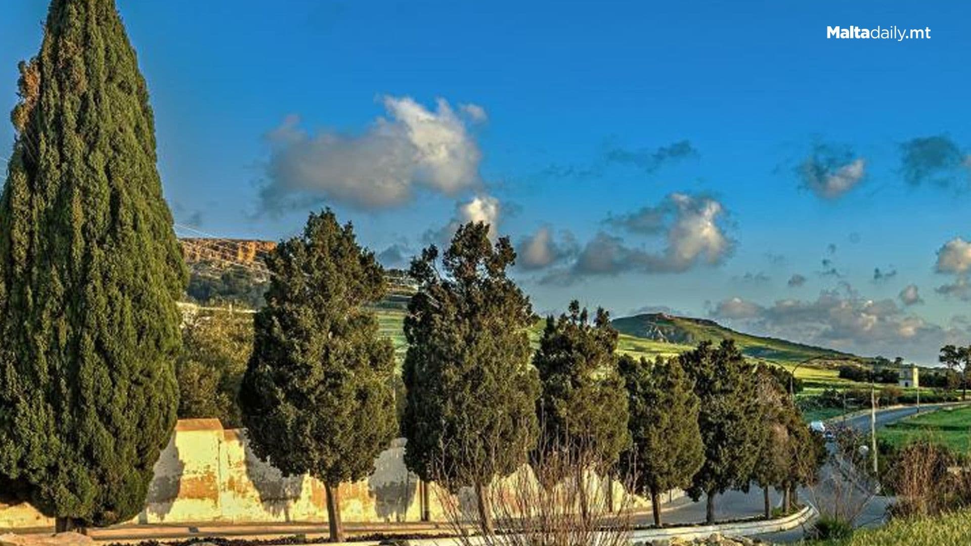 NGO Organises Walk In Gozo To Admire Trees Before Being Cut Down