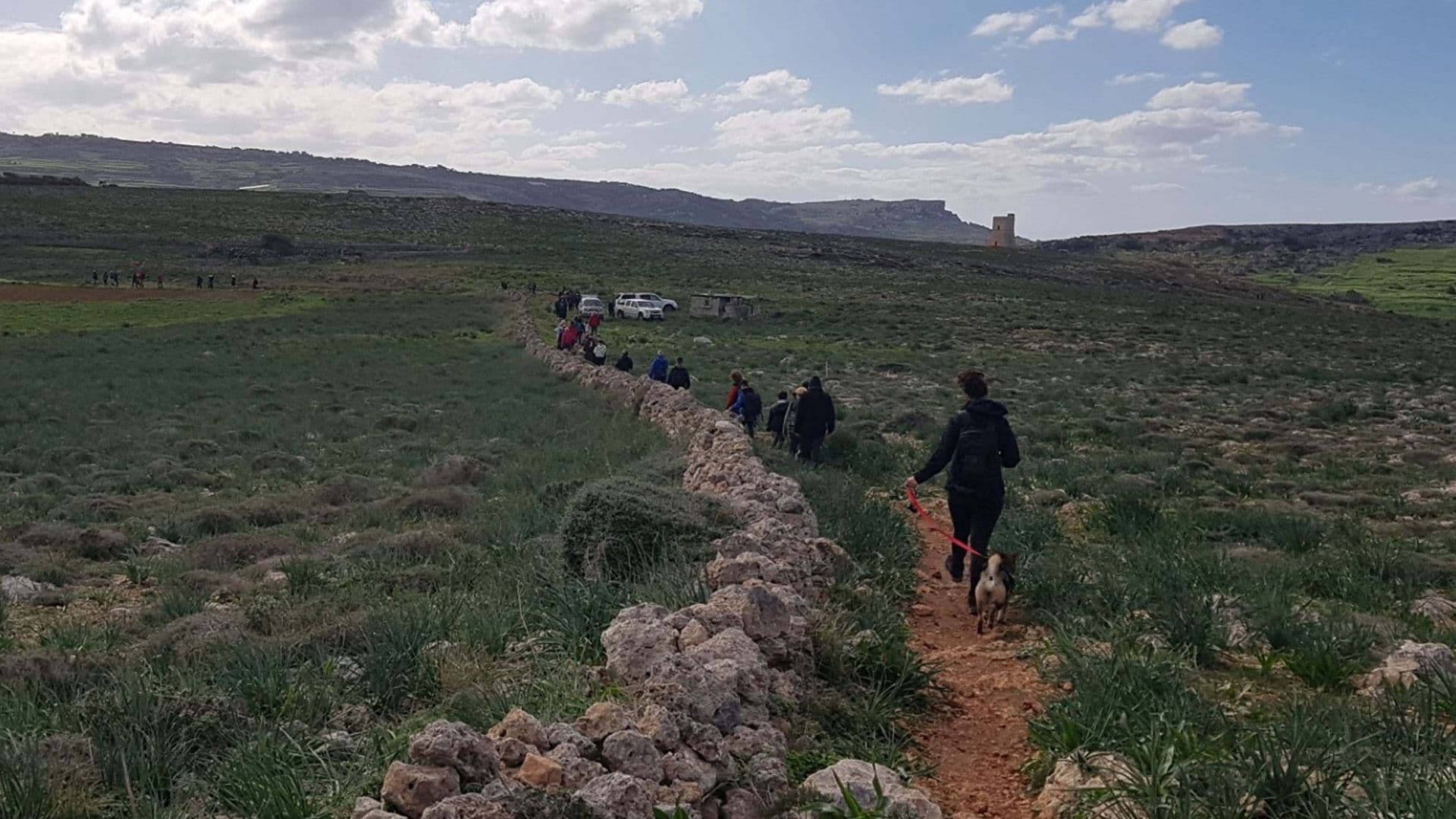 Woman Reportedly Hit By Hunting Pellets While Walking Dogs In Selmun