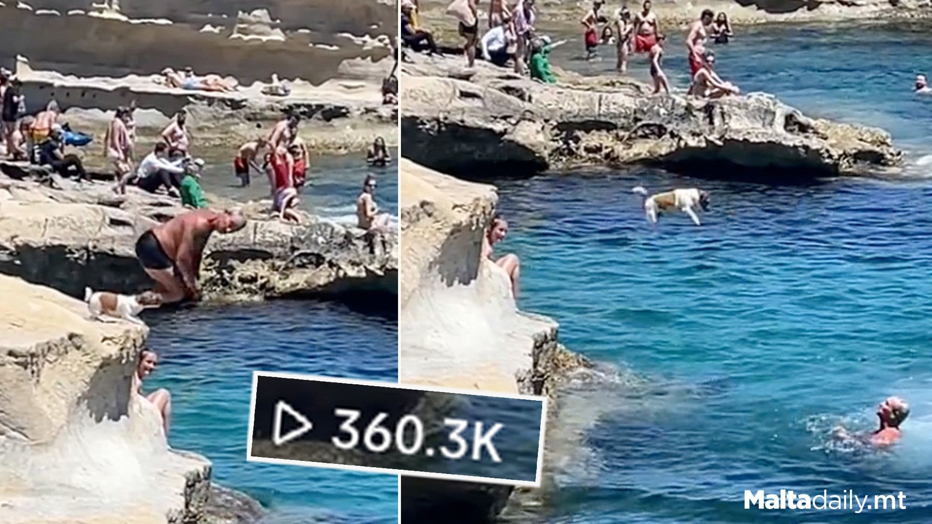 Tina The Dog Already Going Viral As Summer Starts!