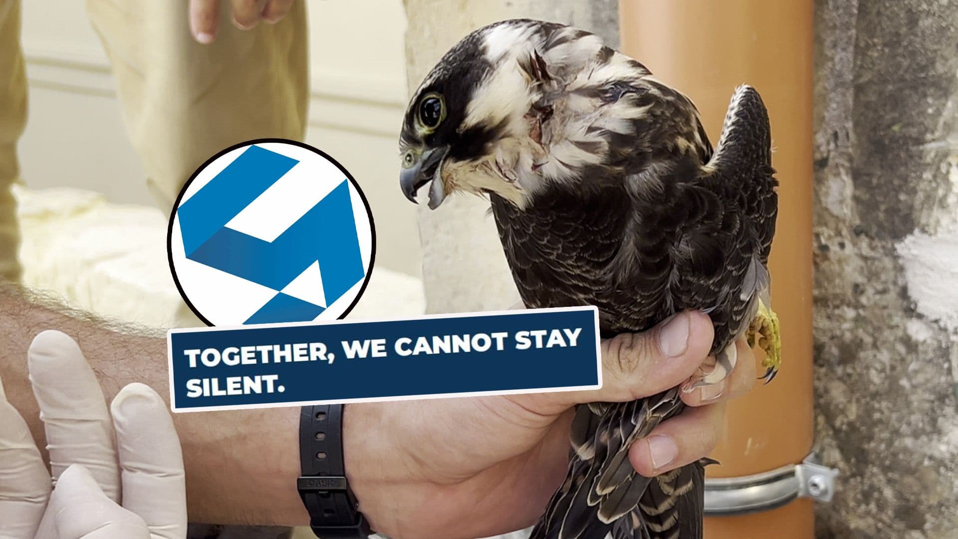 Students’ Organisations Call For Stronger Bird Protections