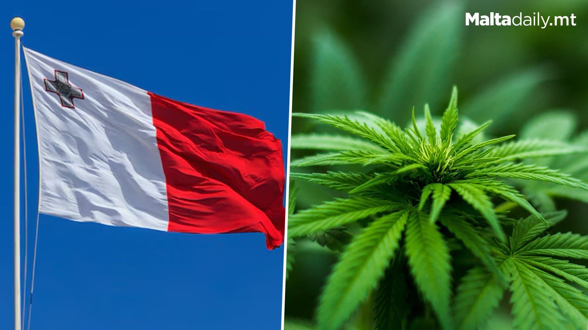 Over 75 Cannabis Related Cases Prosecuted In Malta