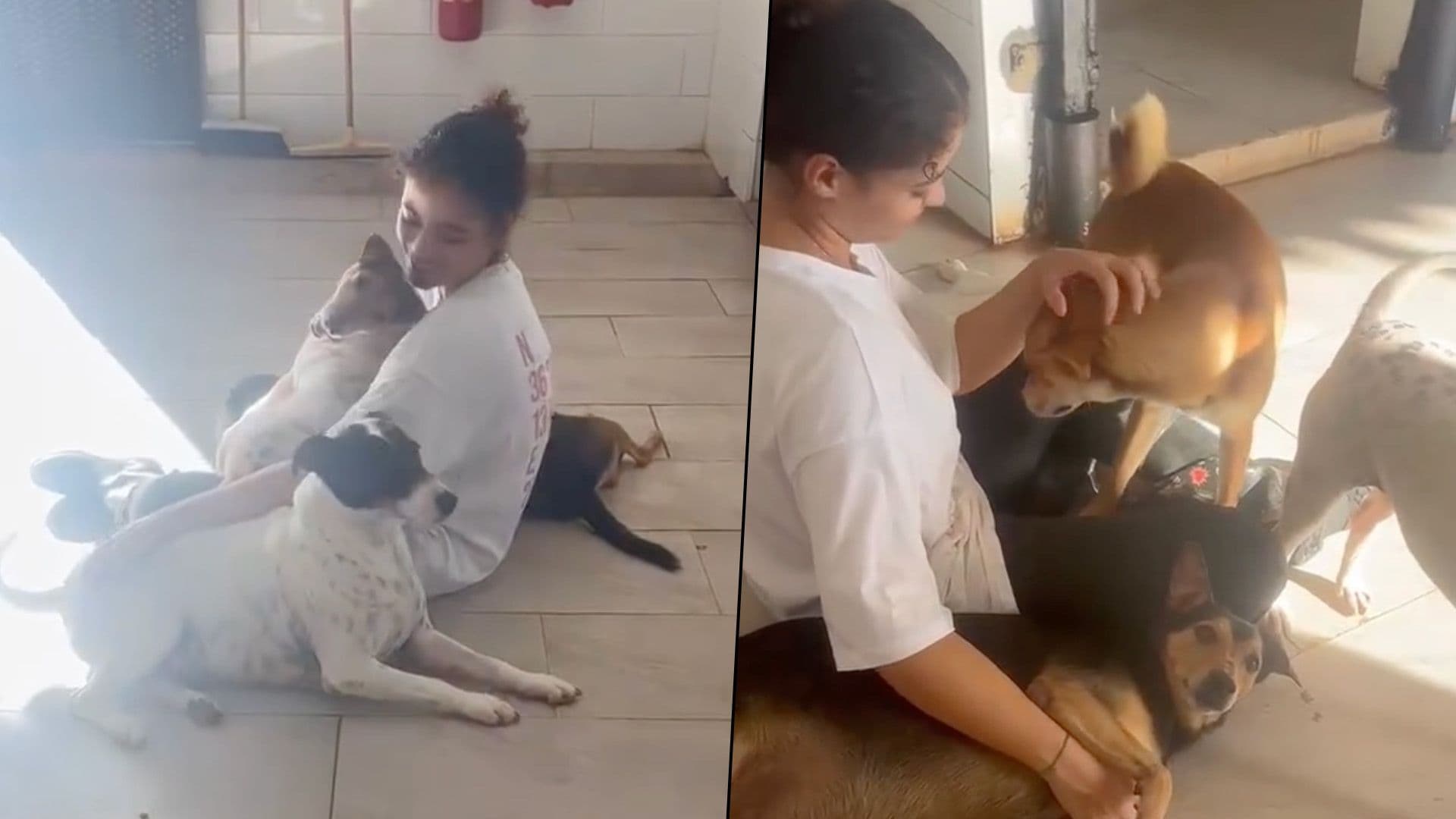 Shelter Dogs Welcome New Volunteer With Cuddles & Kisses