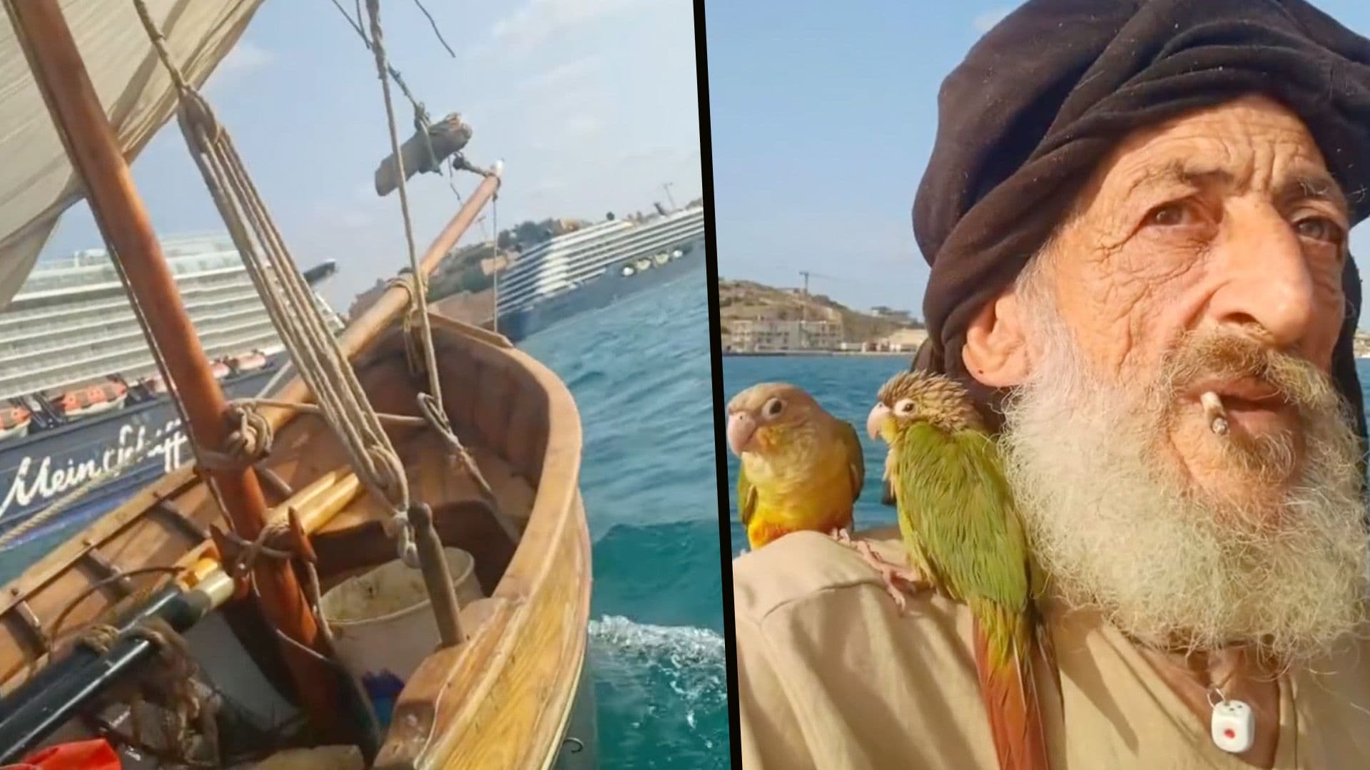 Local Sailing In Maltese Harbour With Birds Goes Viral