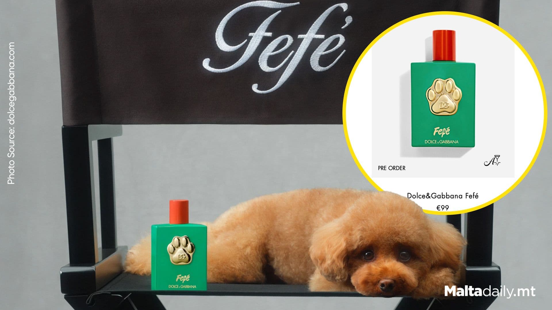 Dolce & Gabbana Launches Perfume For Dogs
