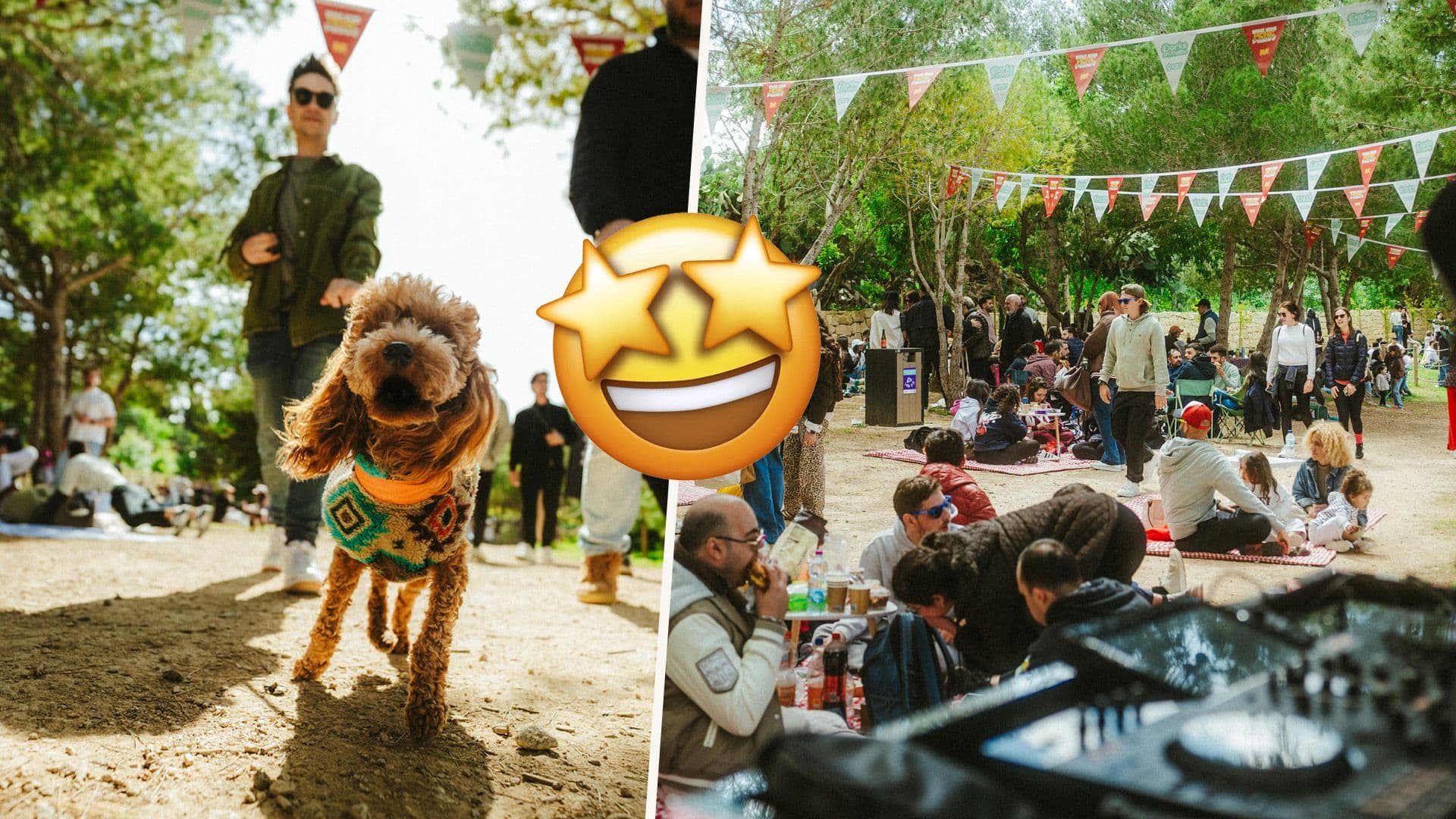 The Big Picnic Party Is Back This Saturday!