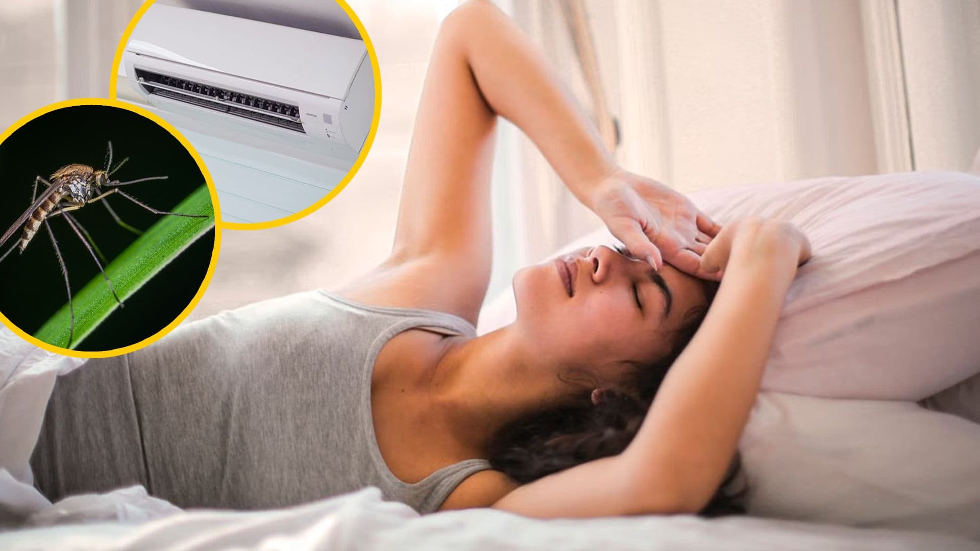 Things We’re Definitely Not Going To Miss About Summer In Malta