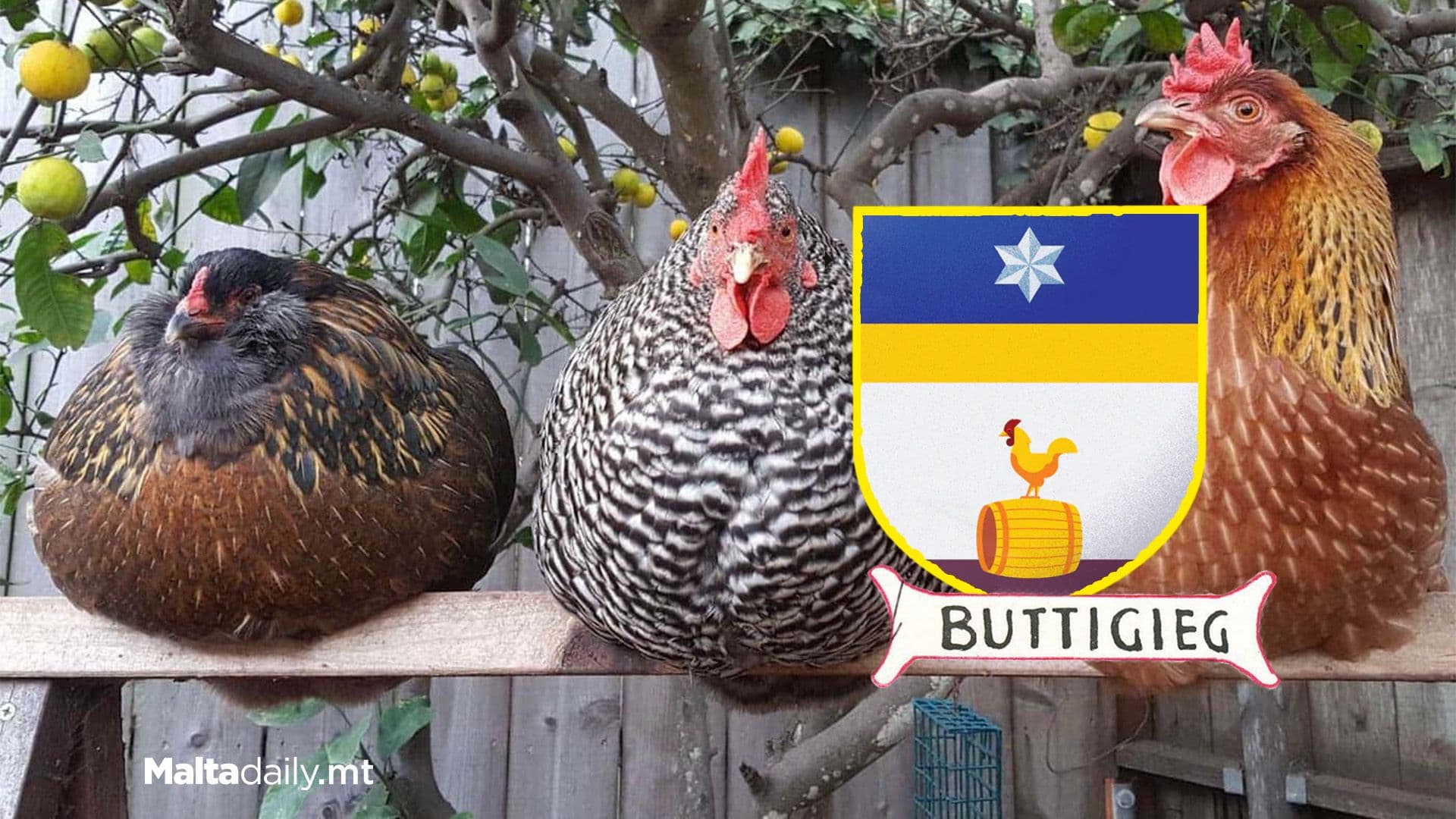 The Meaning and Origin of Buttigieg