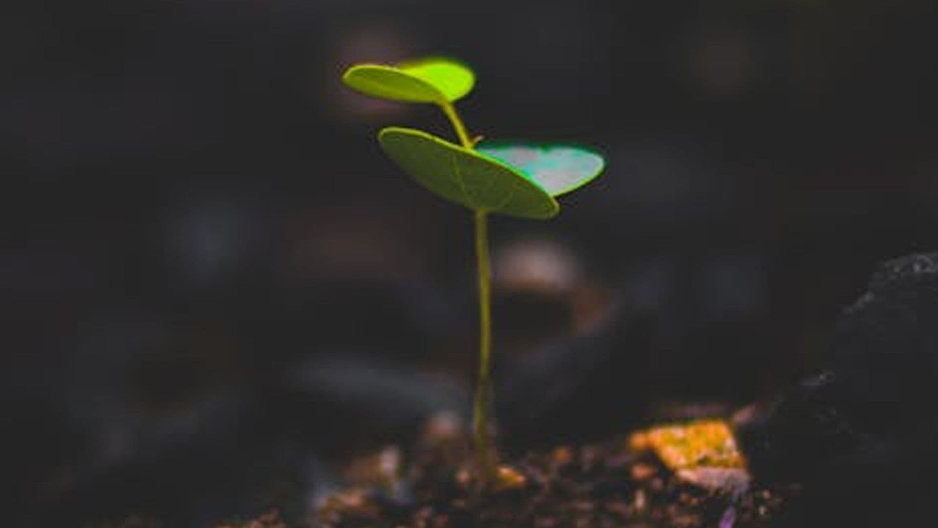 1 Week Left To Apply For Malta Sustainable Development Action Awards