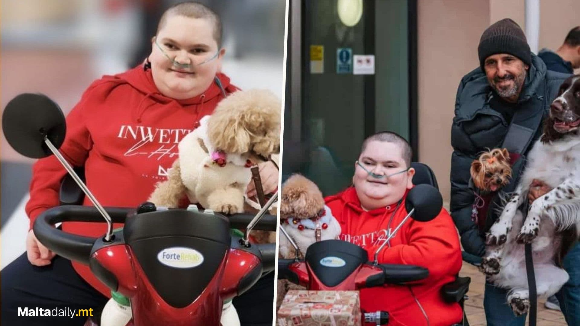 Paw Walk In Memory Of Jake Vella This December