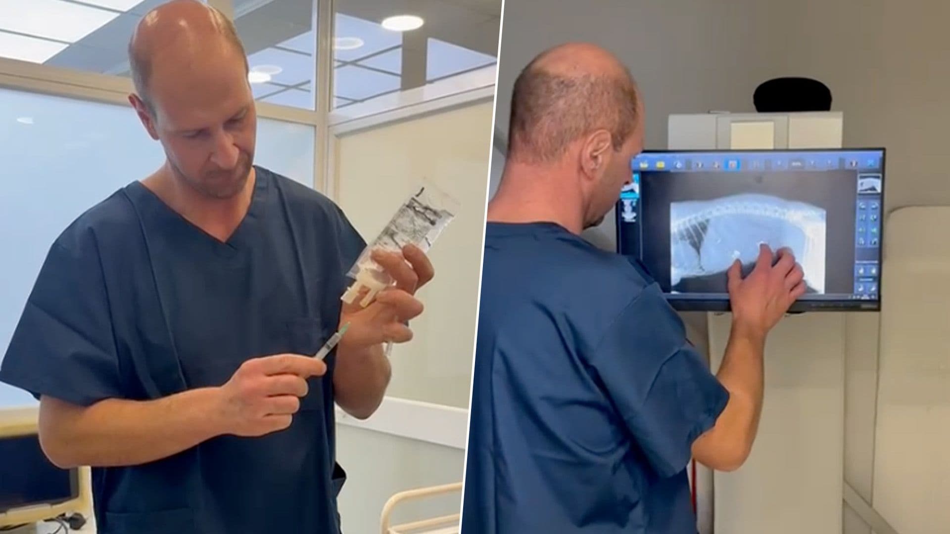 4 First Cases Successfully Treated At New Vet Emergency Clinic