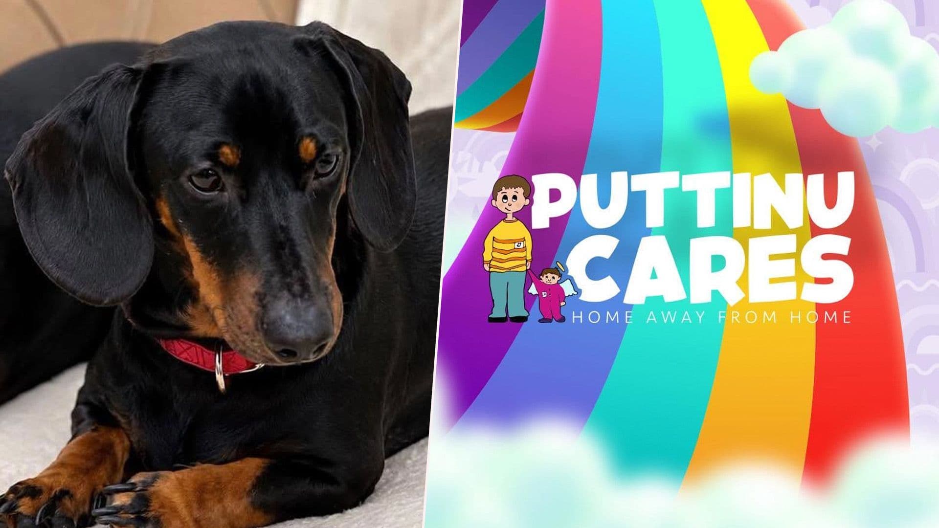 €2,500 Reward For Lost Dog Donated To Puttinu Cares After Pet Reunited With Owners