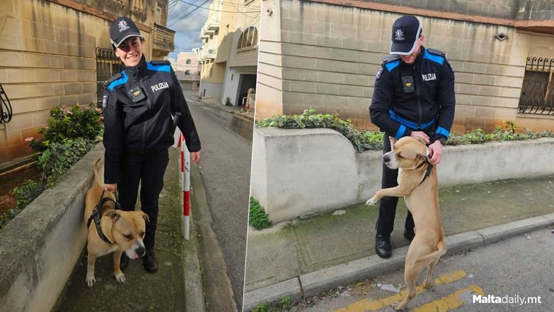 Marsa Police Reunite Buddy With Owner For Christmas