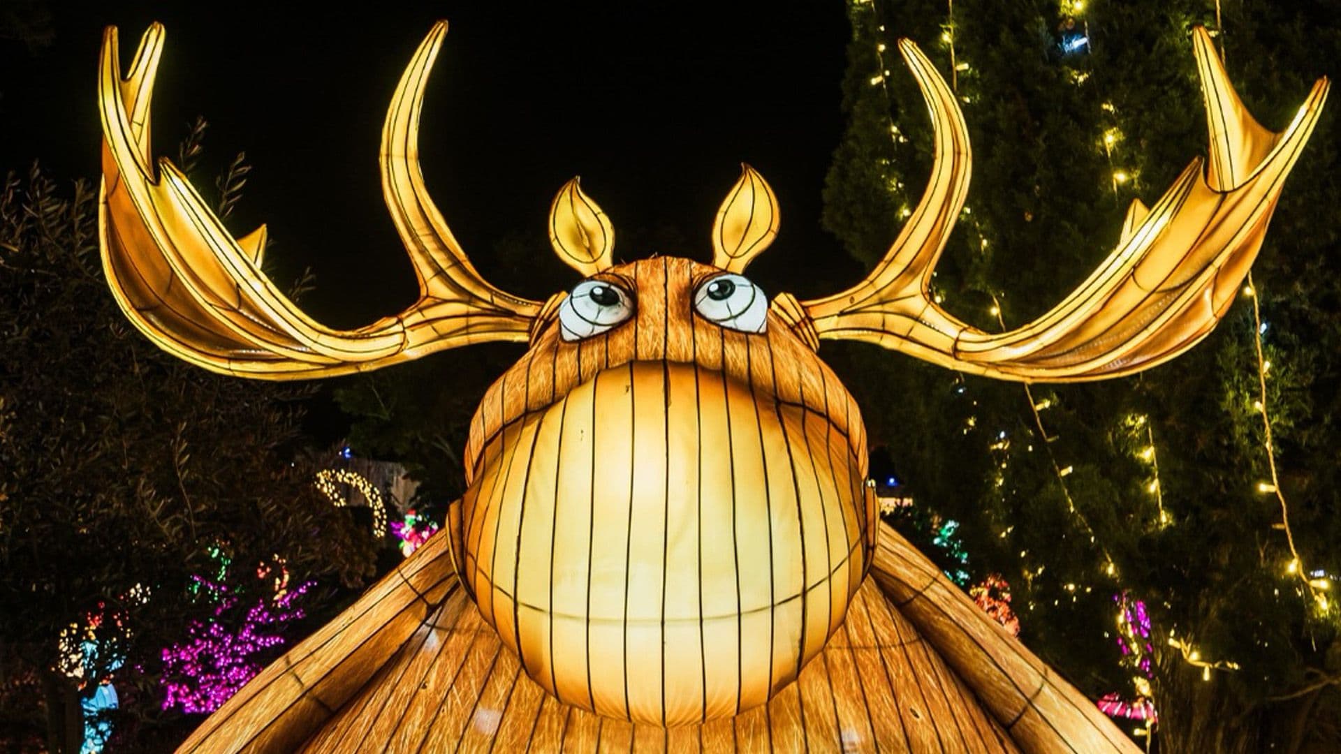FULL HOLIDAY CHEER AT ILLUMINATED TRAIL MALTA