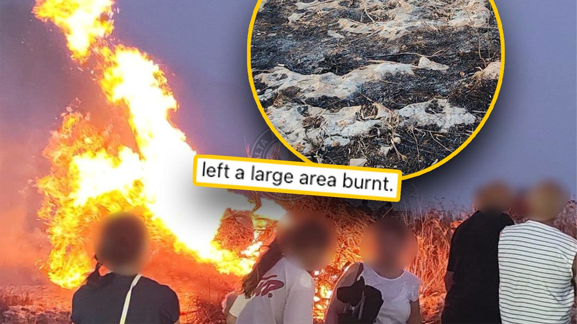 Illegal Bonfire Burns Shrubs In Protected Area