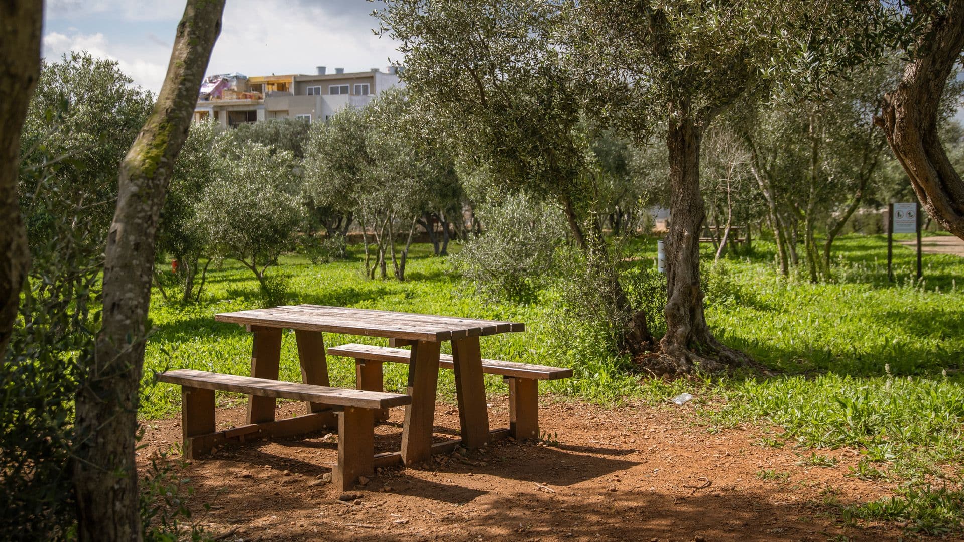 Project Green Invites You To Dawra Durella F’ San Klement!