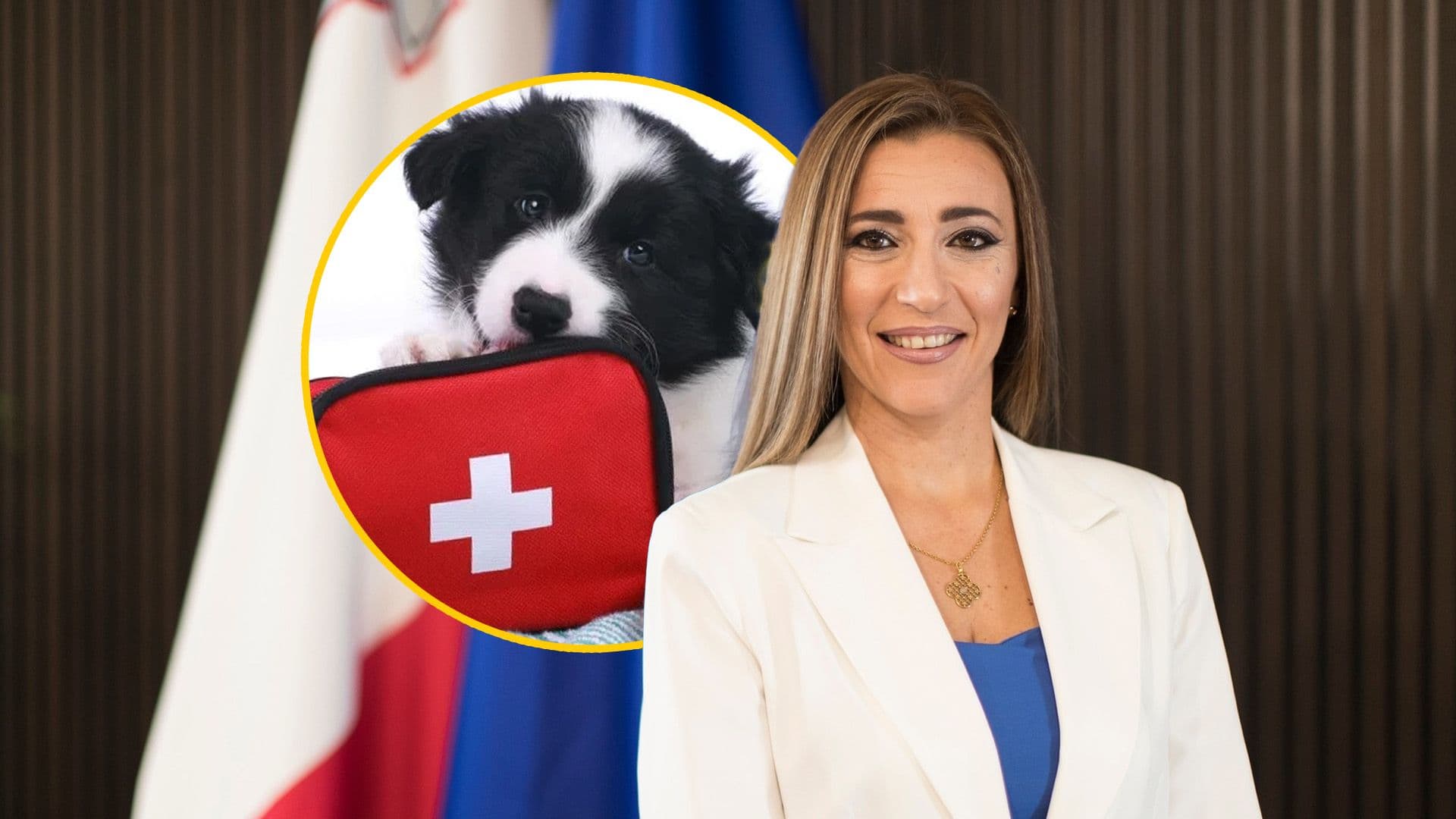 Local Council Pet First Aid Courses Project Announced