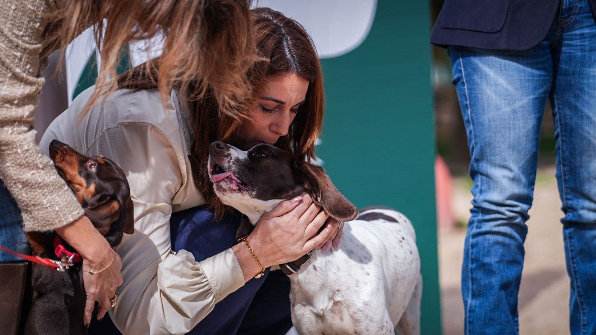 Local Councils Can Now Apply For Pet Friendly Open Spaces Funding