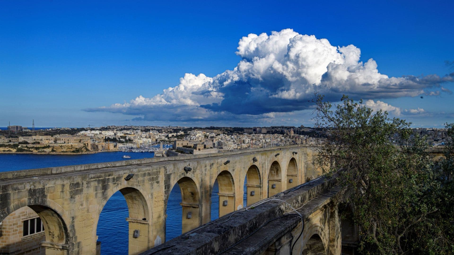 January 2025 Was 1.6°C Hotter Than The Climatic Norm