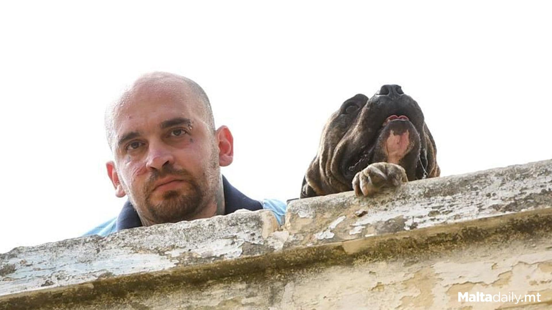 20 Month Jail Sentence For Owner Of Pitbulls Who Killed Grandma