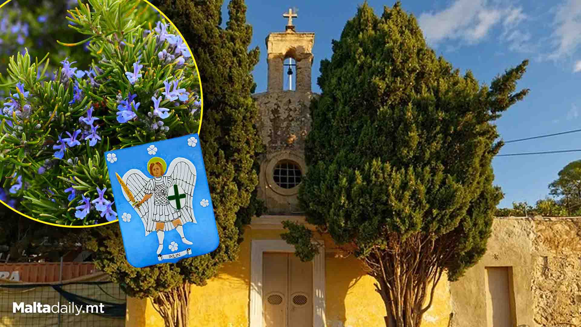 Fun Facts You Didn’t Know About: Iklin!