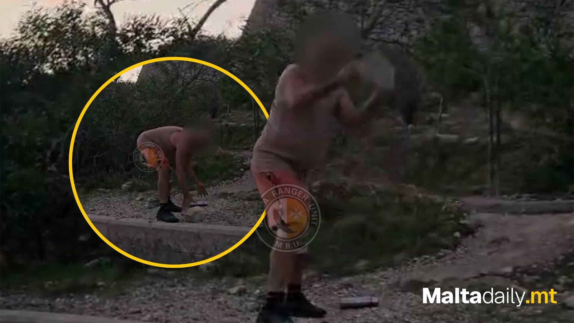 Dog Kills Hedgehog At Manoel Island, Owner Taken To Police Station