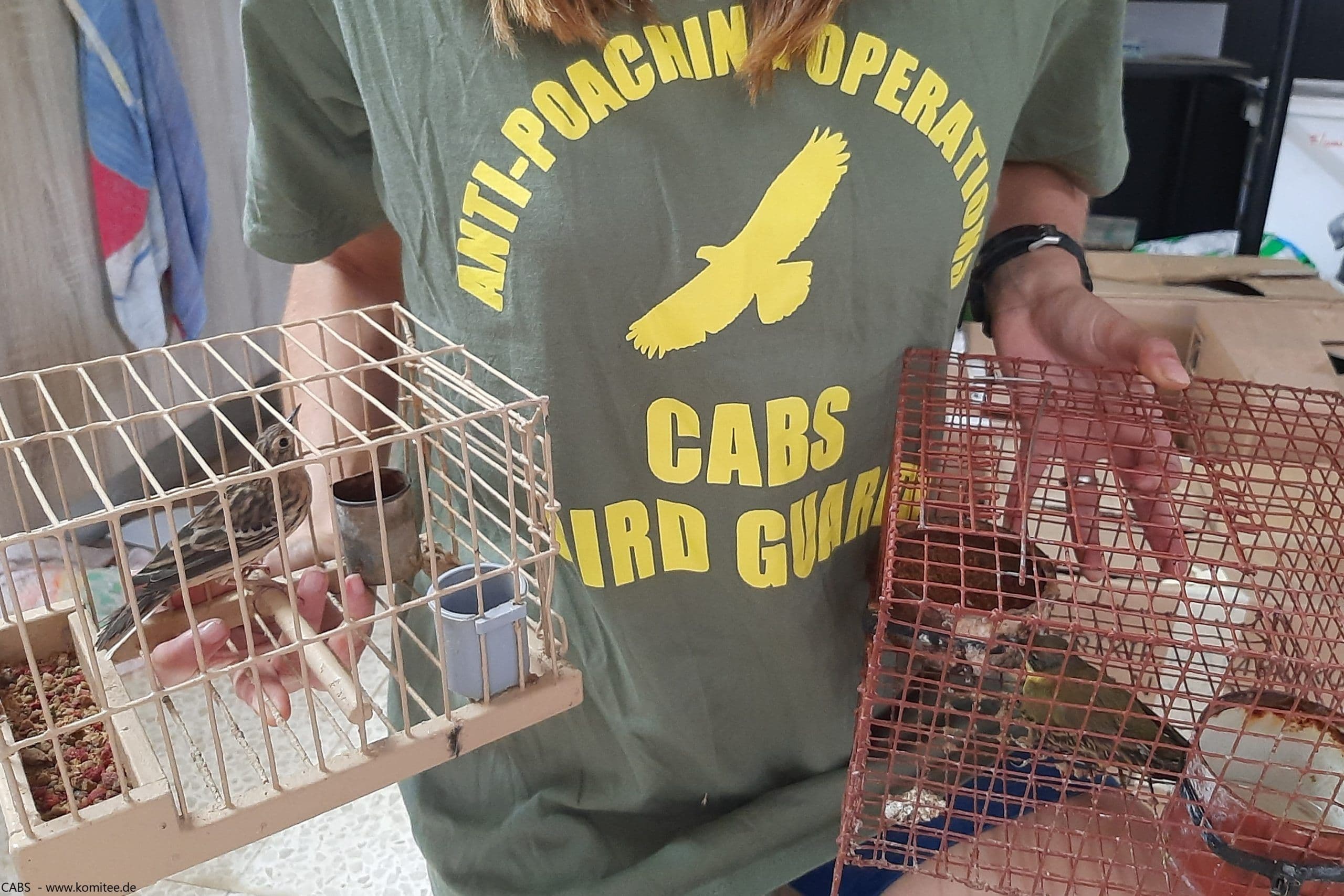 Malta’s Most Notorious Wildlife Offenders Has Been Convicted Once Again