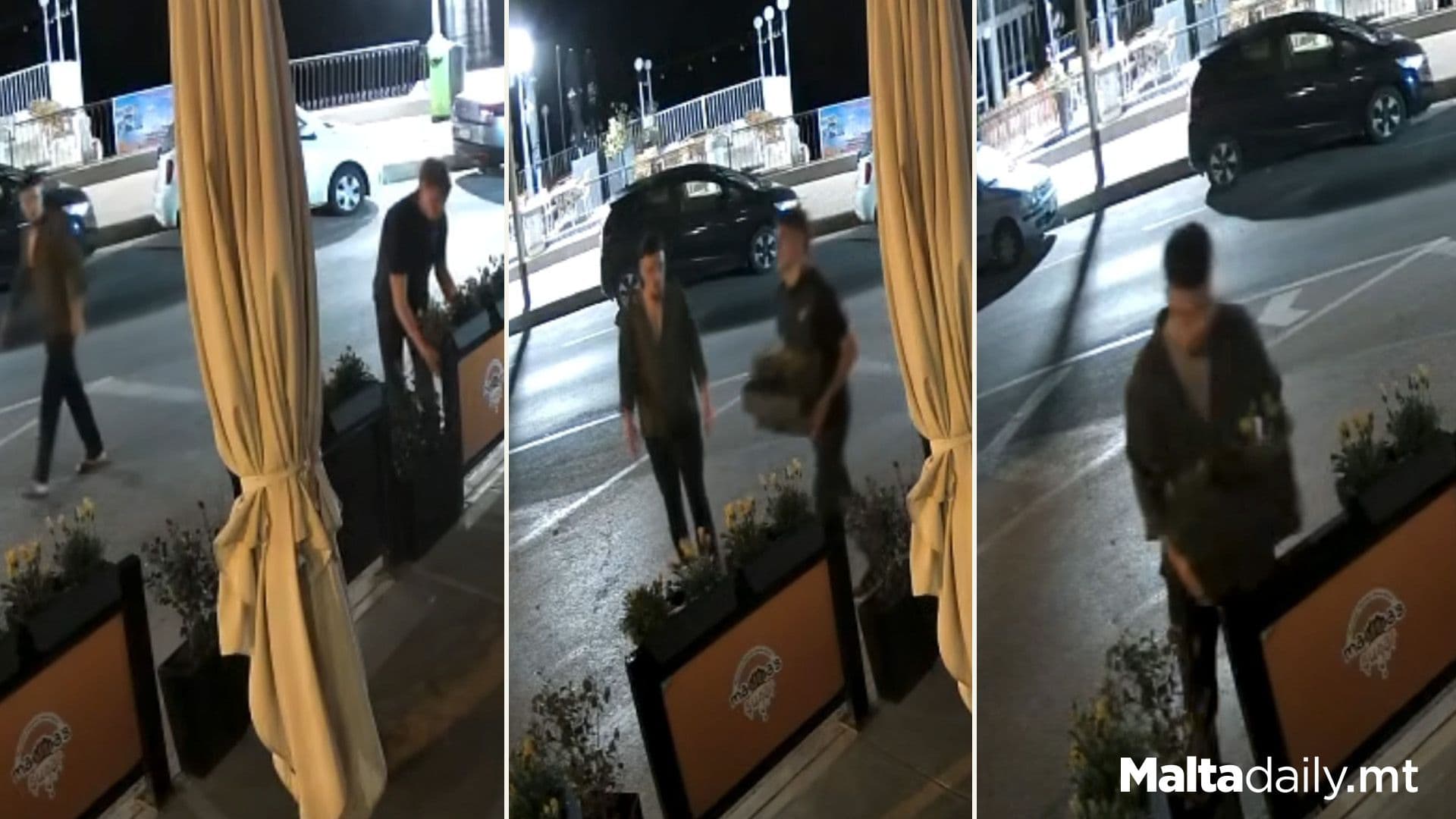 Two Youths Steal Plants From Buġibba’s Mamma’s Sugar Outlet