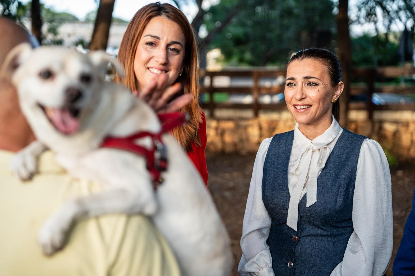 Government Continues Investment In Animal Welfare Across Local Communities