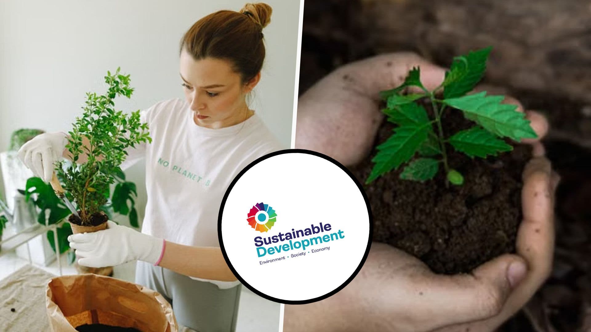 Eight Awards To Recognise Malta’s Sustainability Champions