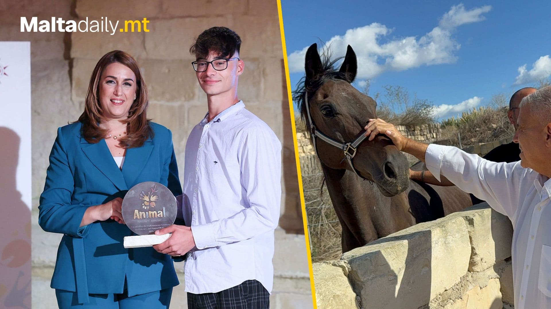 Government Grants Land to Second Chance Horse Rescue for Rehabilitation Efforts