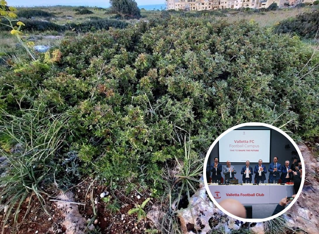 Residents Push Back Against Pembroke Land Transfer to Valletta FC