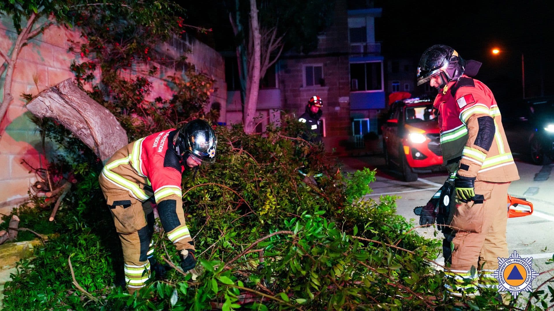 42 Tree Obstructions Cleared Overnight By CPD
